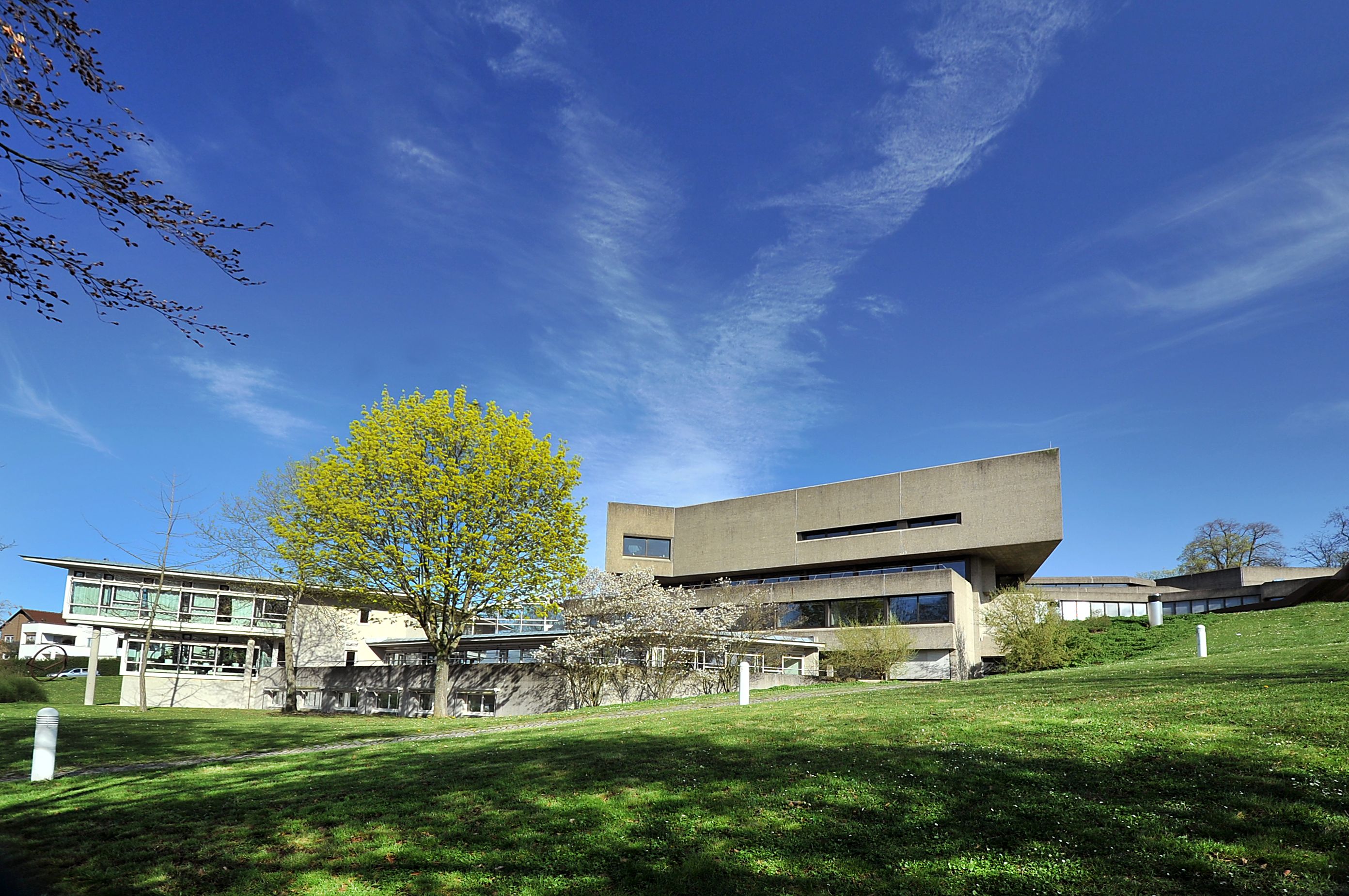 Die Bibliothek des Deutschen Literaturarchiv Marbach